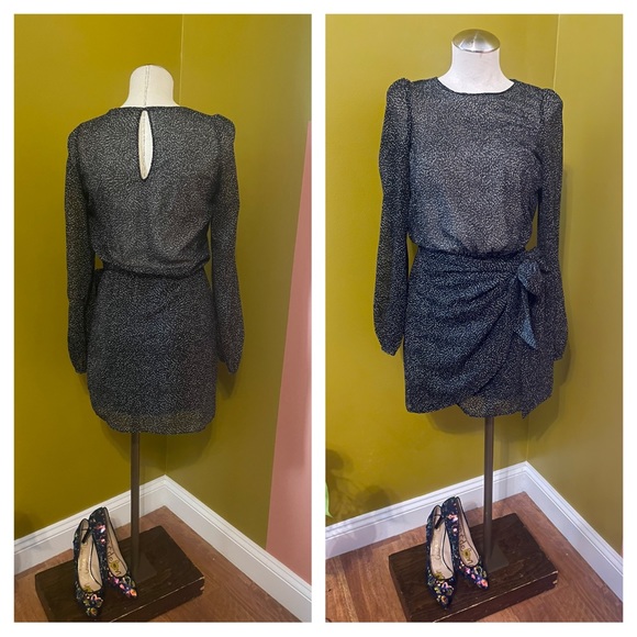 Zara Trafaluc Polka Dot Semi Sheer Mini Dress - Picture 8 of 8